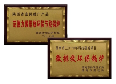 陜西德力能源科技有限責任公司范德力鍋爐